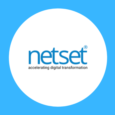 NetSet Software Solutions logo